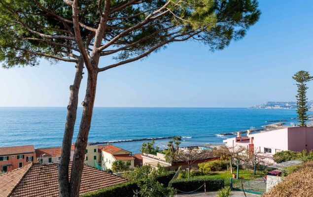 Il Piccolo Ulivo - Photo 5