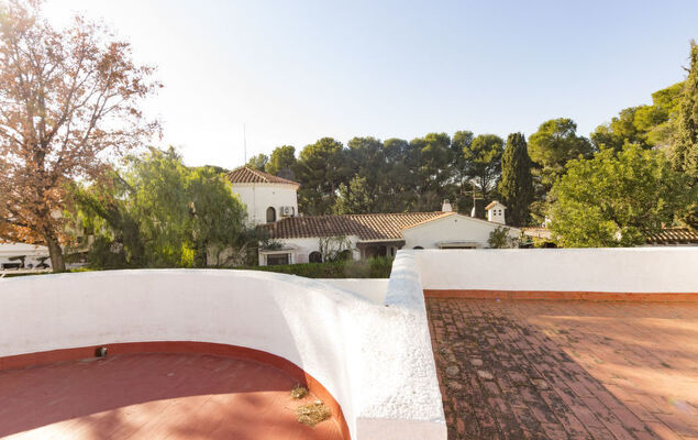 El Dorada Playa - Photo 55