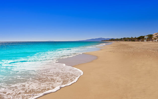 El Dorada Playa - Photo 57