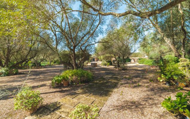 Es Rafalet - Photo 55