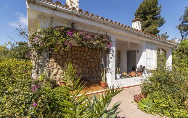 Villa Pedro - Photo 21