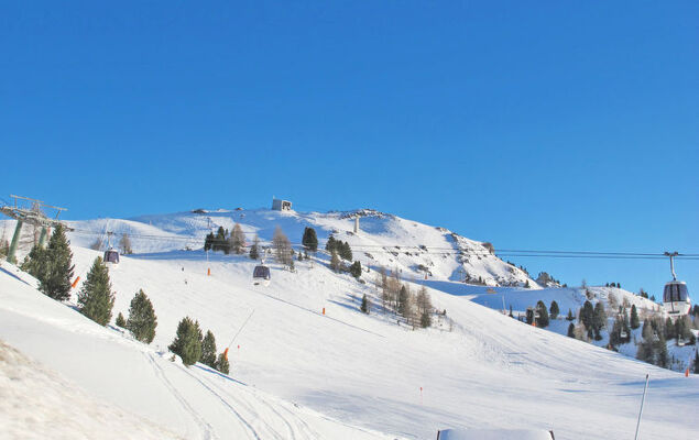 Cesa Galadriel - Photo 37