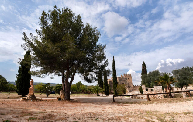 Mas d´en Tarres - Photo 18