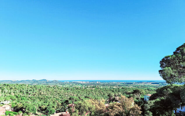 Panoramic - Photo 30