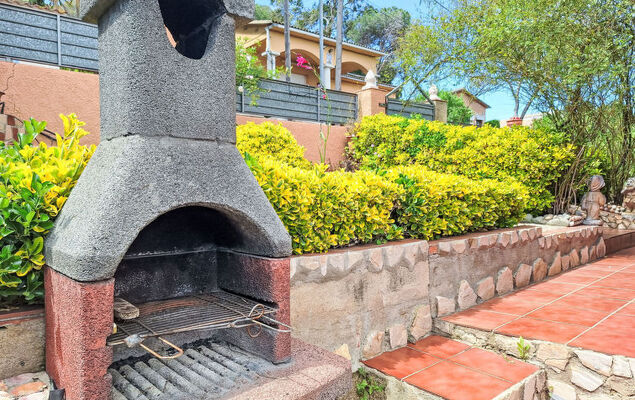 Panoramic - Photo 32