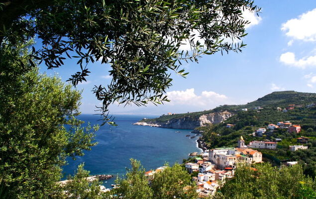 Albero di Giada - Photo 48