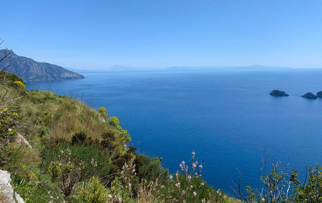 Albero di Giada - Photo 49