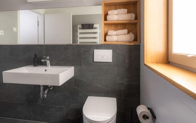 de luxe H751 mit Panoramasauna - Photo 26