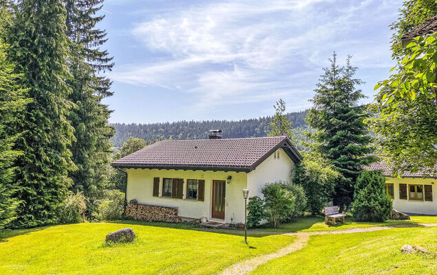 Black Forest Hideaway - Photo 29