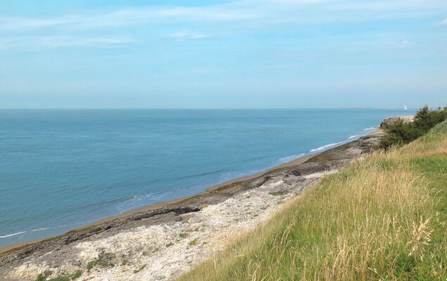 Les Grillons - Photo 22