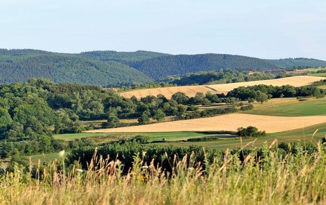 Holzchalet A-D - Photo 37