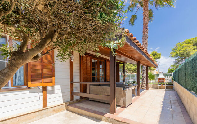 Tropical 1 - Photo 25