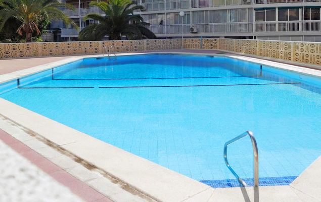 Halcon Levante - Photo 8