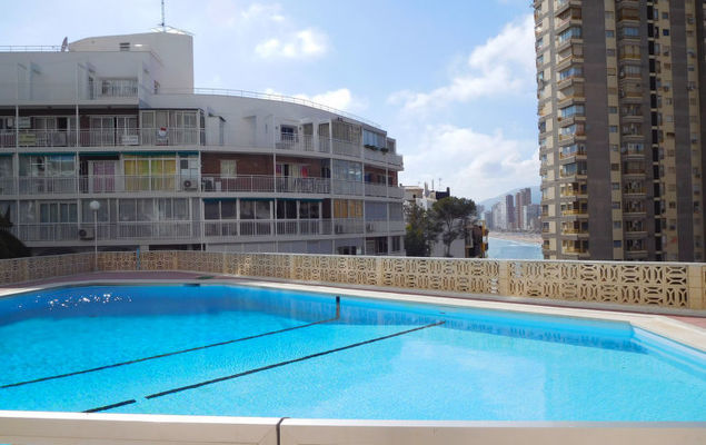 Halcon Levante - Photo 10